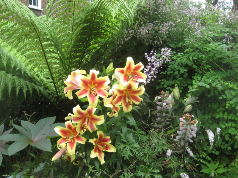 Arlington Square Gardens